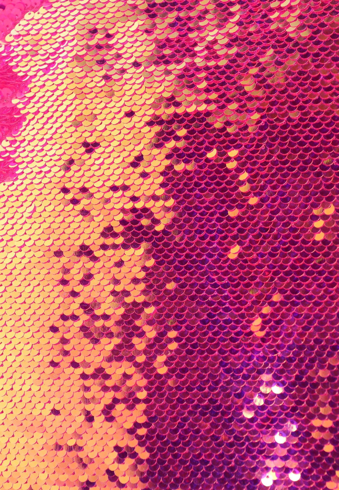 Iridescent Sequin Fabric Tote Bags